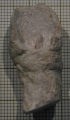 Paralectotype of Lingulosmilia cornuta type species of the genus, author: B.Lathuilie