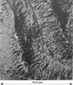 Holotype of Microphyllastraea karrenbergi type species of the genus, author: B. Lathuilie