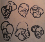 Spiroplectammina exotica Vdovenko, 1962