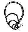Globivalvulina spiralis Morozova, 1949