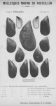 Bucquoy, E.; Dautzenberg, Ph.; Dollfus, G. (1887). Les Mollusques marins du Roussillon: 2. Pélécypodes avec atlas de 99 planches en phototypie. J.-B. Baillière & Fils: Paris, France. 2 vols: 884, 99 plates pp.