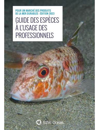 Guide des espèces à l'usage des professionnels. Pour un marché des produits de la mer durables Guide des espèces à l'usage des professionnels. Pour un marché des produits de la mer durables