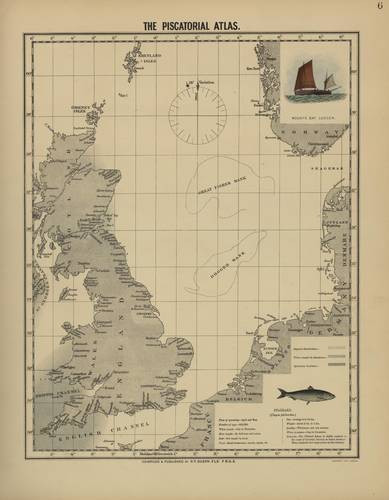 Olsen (1883, map 06) Olsen (1883, map 06)