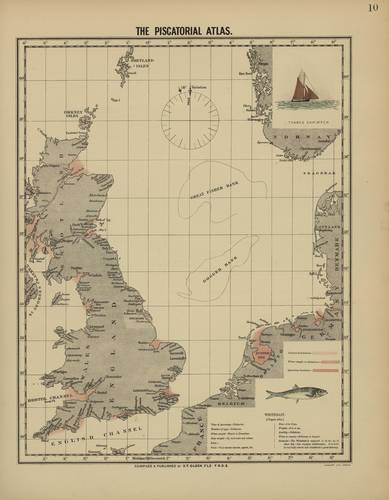 Olsen (1883, map 10) Olsen (1883, map 10)