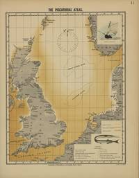 Olsen (1883, map 11)
