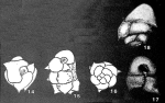 Caucasina sectile Ter-Grigoryants, 1965