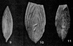 Frondovaginulina inversa (Reuss, 1844)