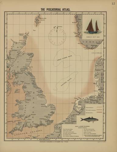 Olsen (1883, map 12) Olsen (1883, map 12)