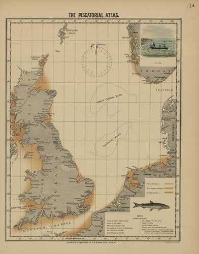 Olsen (1883, map 14) Olsen (1883, map 14)