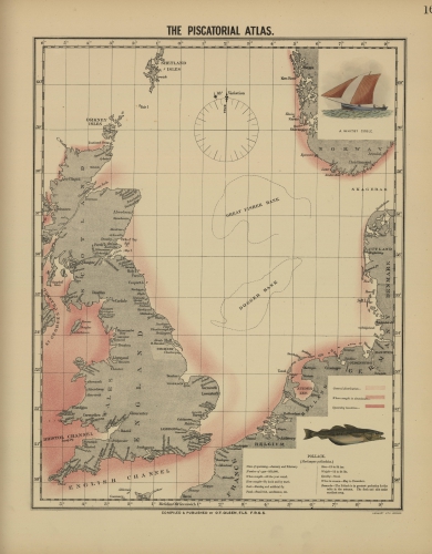 Olsen (1883, map 16) Olsen (1883, map 16)
