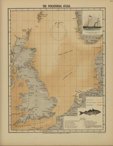 Olsen (1883, map 17) Olsen (1883, map 17)
