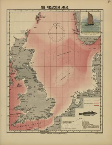 Olsen (1883, map 19) Olsen (1883, map 19)