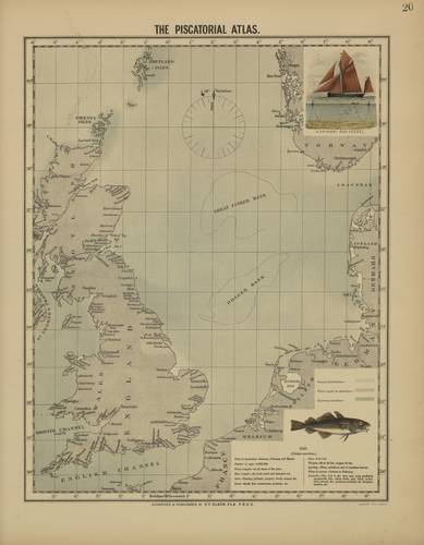 Olsen (1883, map 20) Olsen (1883, map 20)