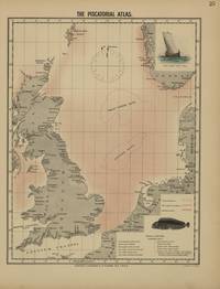 Olsen (1883, map 25)
