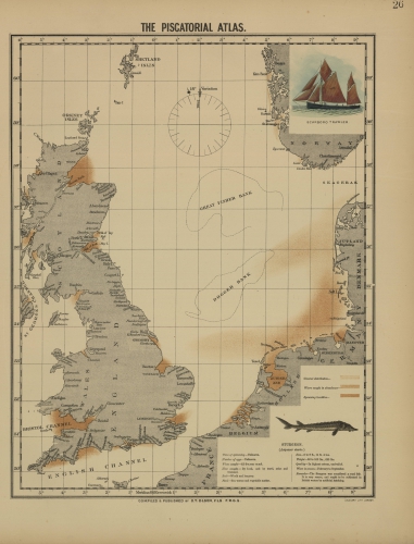 Olsen (1883, map 26) Olsen (1883, map 26)