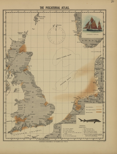 Olsen (1883, map 26)