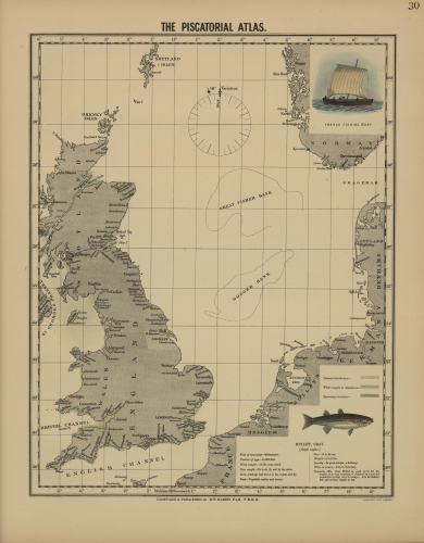 Olsen (1883, map 30) Olsen (1883, map 30)
