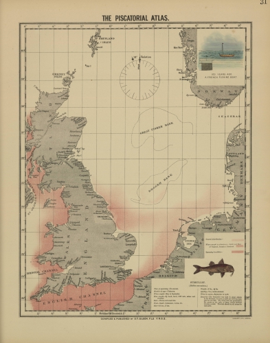 Olsen (1883, map 31) Olsen (1883, map 31)