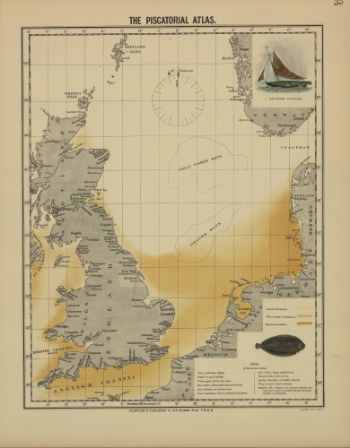 Olsen (1883, map 35) Olsen (1883, map 35)