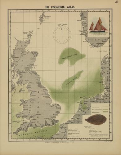 Olsen (1883, map 36) Olsen (1883, map 36)
