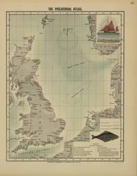 Olsen (1883, map 42)