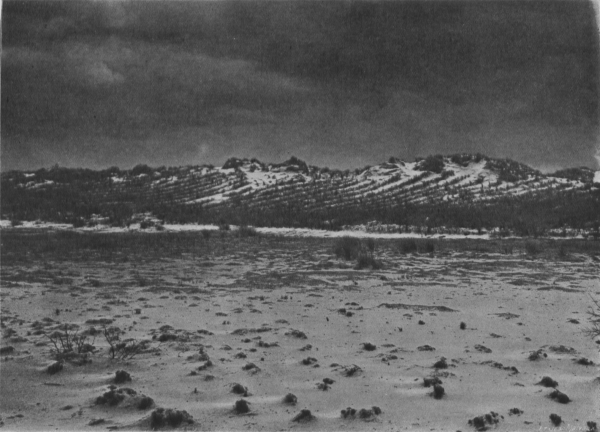 Massart (1913, foto 07)