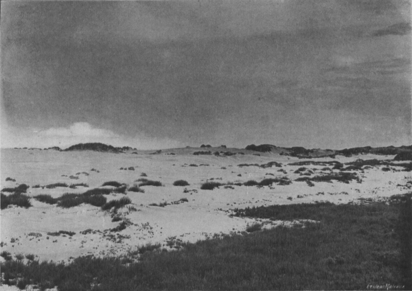 Massart (1913, foto 11)