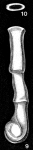 Nodobacularia compressa Rhumbler, 1906