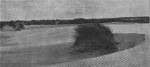 Massart, J. (1913). La cinquantième herborisation générale de la Société royale de Botanique de Belgique sur le littoral belge Bull. Soc. Roy. Bot. Belg. 51(2ième sér.)(1 (Vol. jubilaire)): 69-185, 41 plates