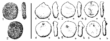 Placentammina placenta (Grzybowski, 1898)