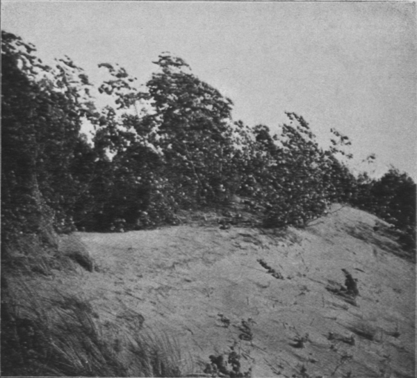 Massart (1913, foto 33)