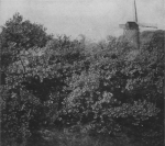 Massart (1913, foto 34)