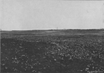 Massart (1913, foto 14)