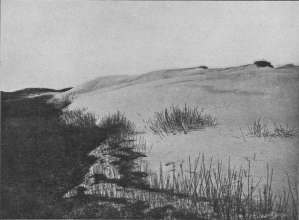 Massart (1913, foto 61)