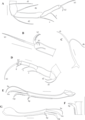 Caledromus robinsmithi  Martens, Ferreira, de Almeida & Higuti, 2023 - Soft parts drawnings from original paper, author: Praxedes, Rayran Arao