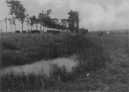 Wery (1908, foto 27)