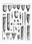 Ciliophora