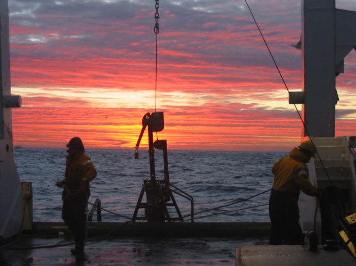 working at sunrise II working at sunrise II
