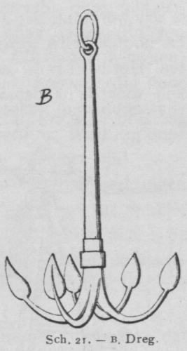 Bly (1902, fig. 21)