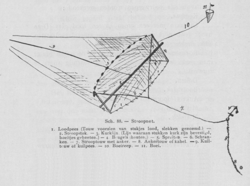 Bly (1902, fig. 88)