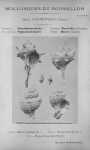 Bucquoy et al. (1882-1886, pl. 01)