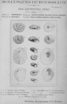 Bucquoy et al. (1882-1886, pl. 51)