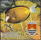 Acanthurus glaucopareius