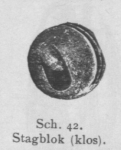 Bly (1902, fig. 42)