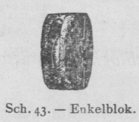 Bly (1902, fig. 43)