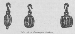 Bly (1902, fig. 46), author: Anoniem