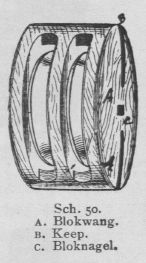 Bly (1902, fig. 50)