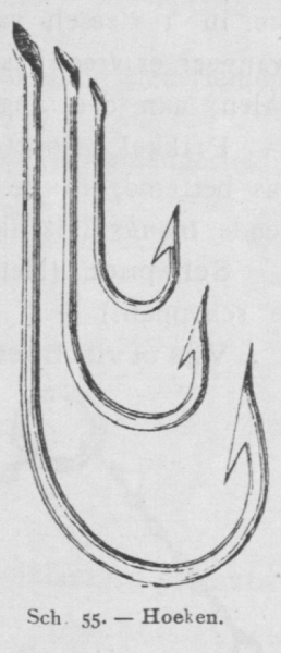 Bly (1902, fig. 55)