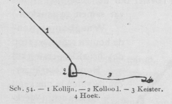 Bly (1902, fig. 54)