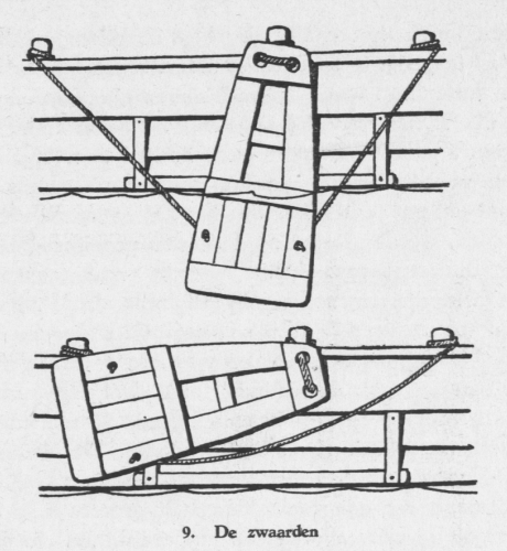 Derolez (1950, fig. 09)